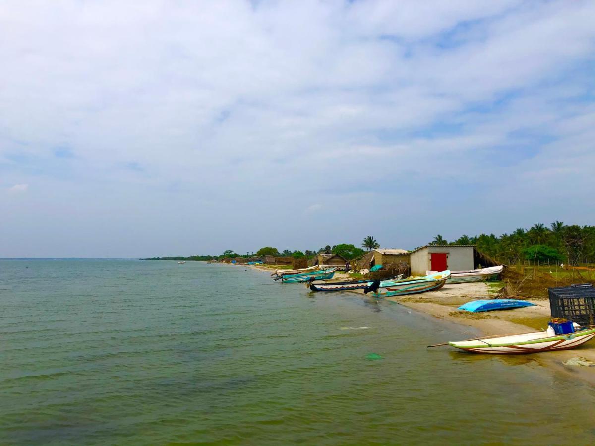 Wilpattu Green Cabin Achchamulai Exterior foto