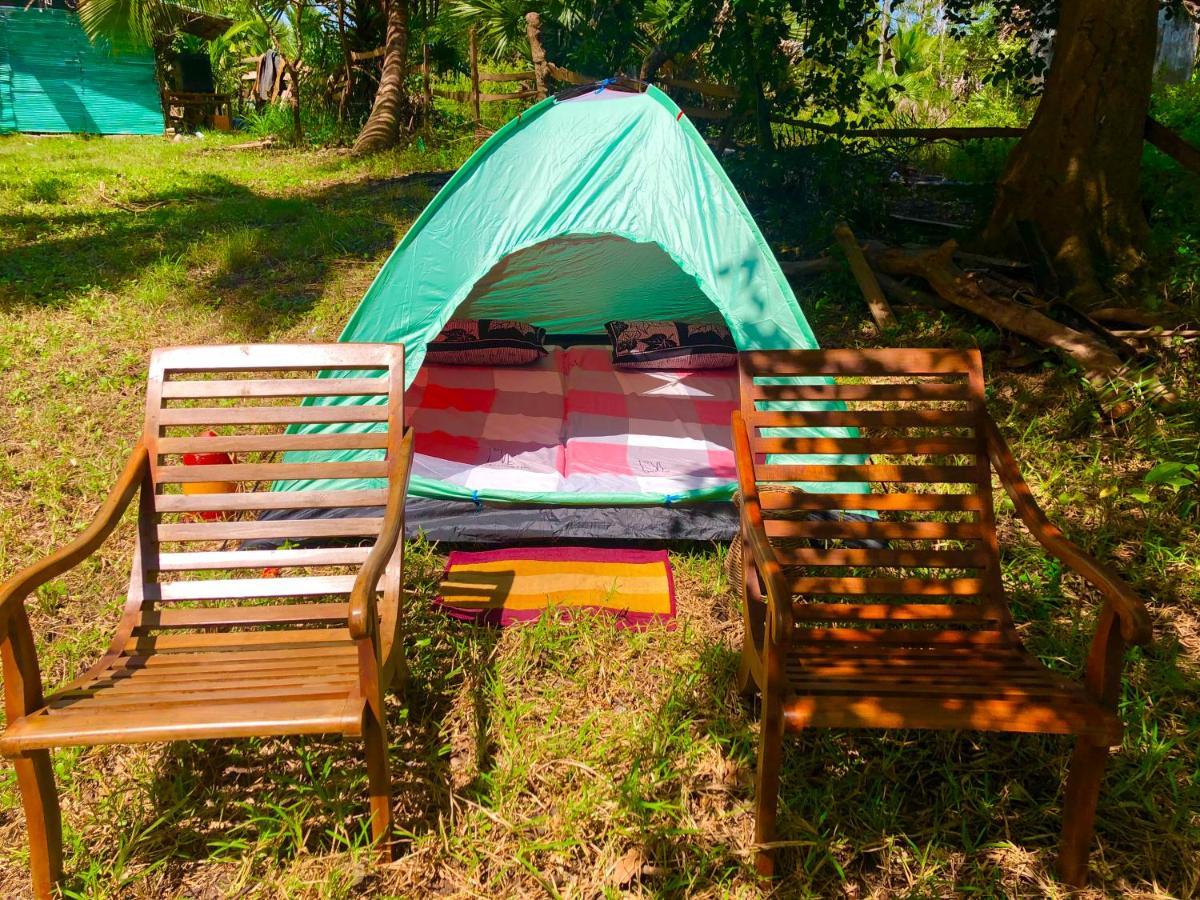 Wilpattu Green Cabin Achchamulai Exterior foto